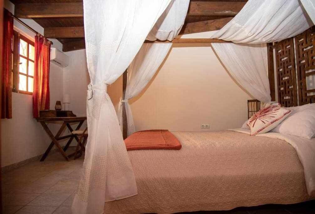 Aurora Mari Villa Your Dream Steps From The Ocean Shore Caleta De Fuste Zewnętrze zdjęcie